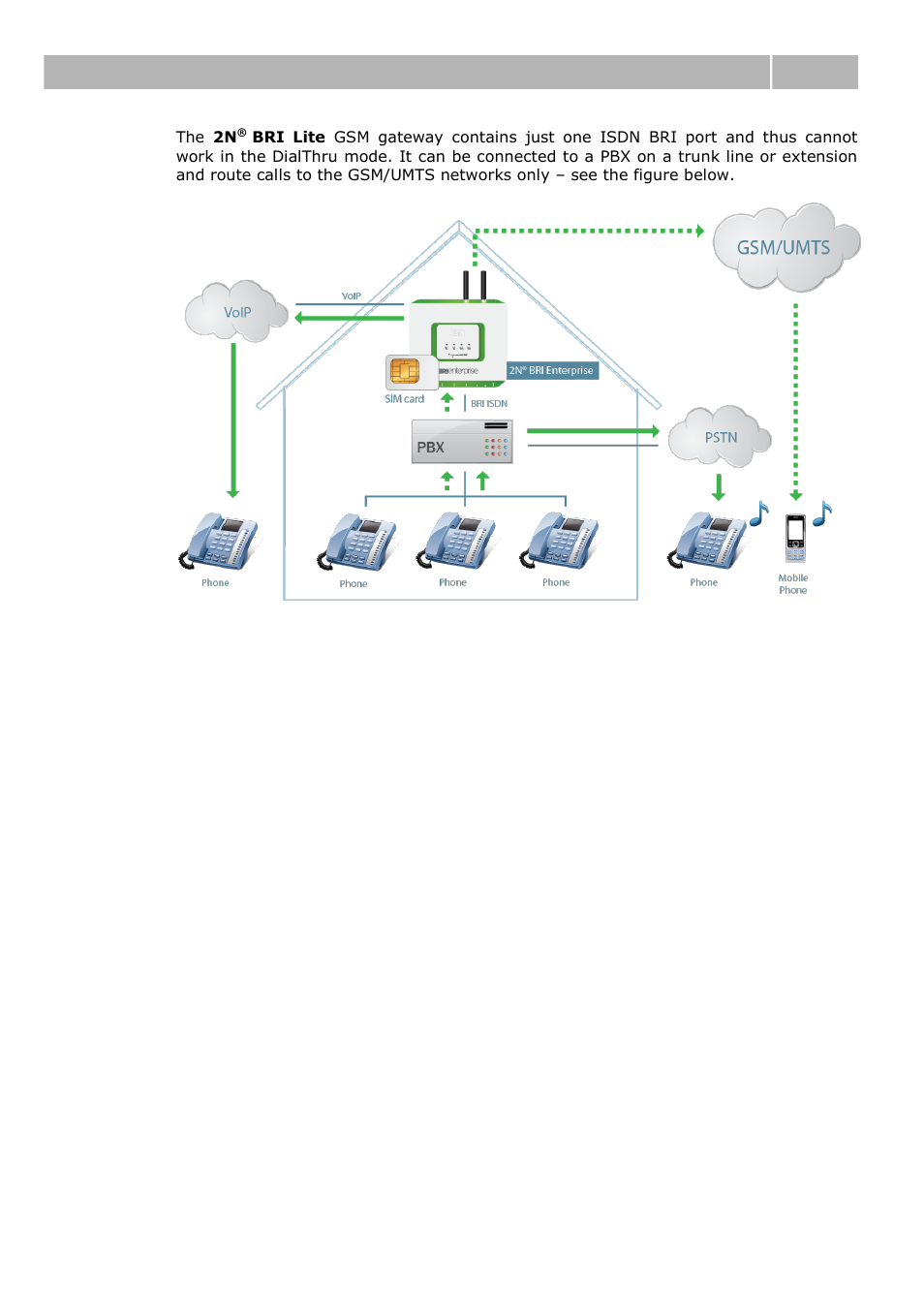 Product description 1.1 | 2N BRI Lite/Enterprise v1.1 User Manual | Page 11 / 109
