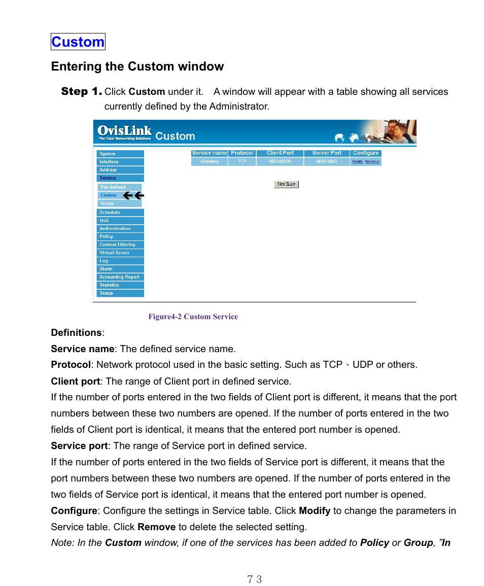 Custom, Entering the custom window | AirLive RS-1000 User Manual | Page 78 / 197