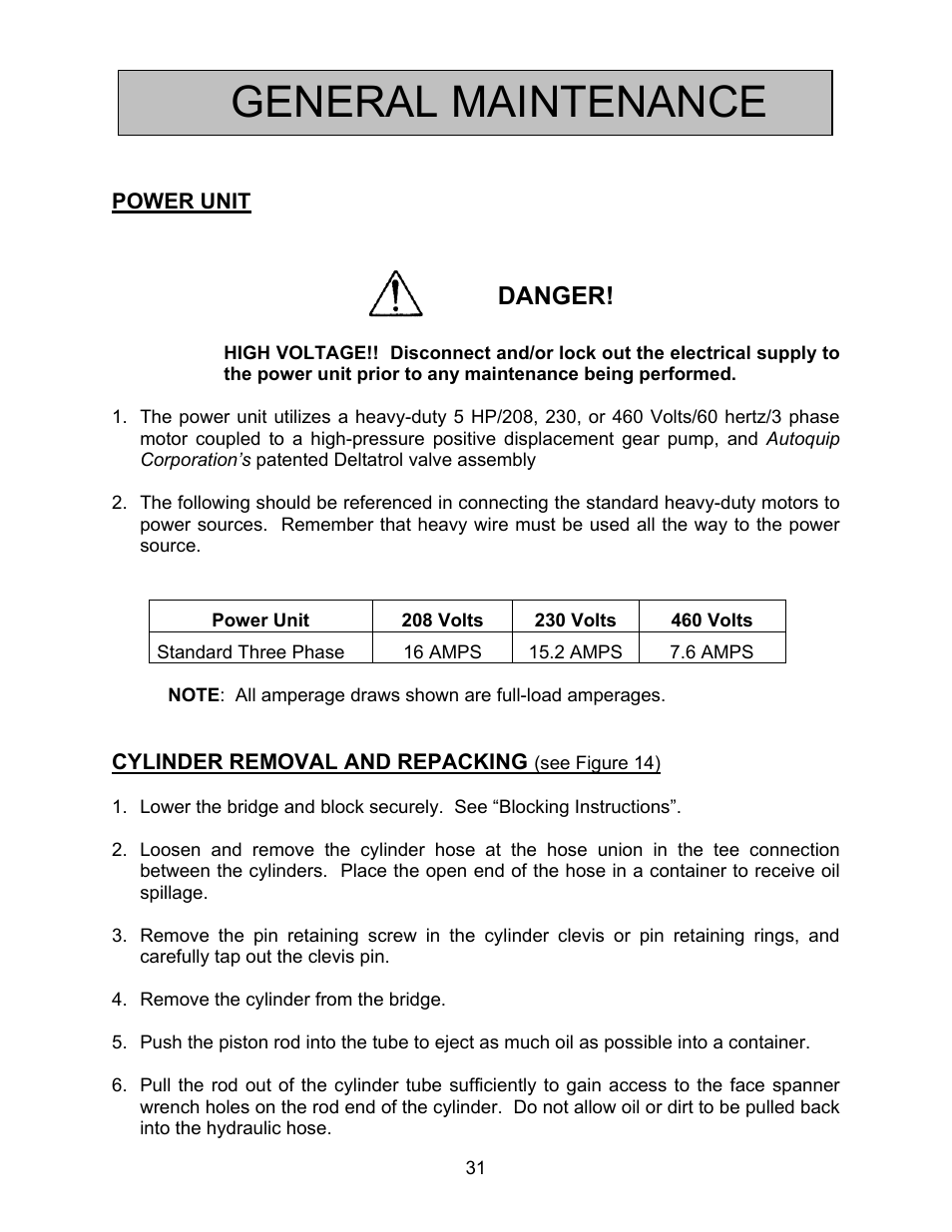 General maintenance, Danger | Autoquip BASCULE BRIDGE - DOUBLE LEAF User Manual | Page 31 / 44
