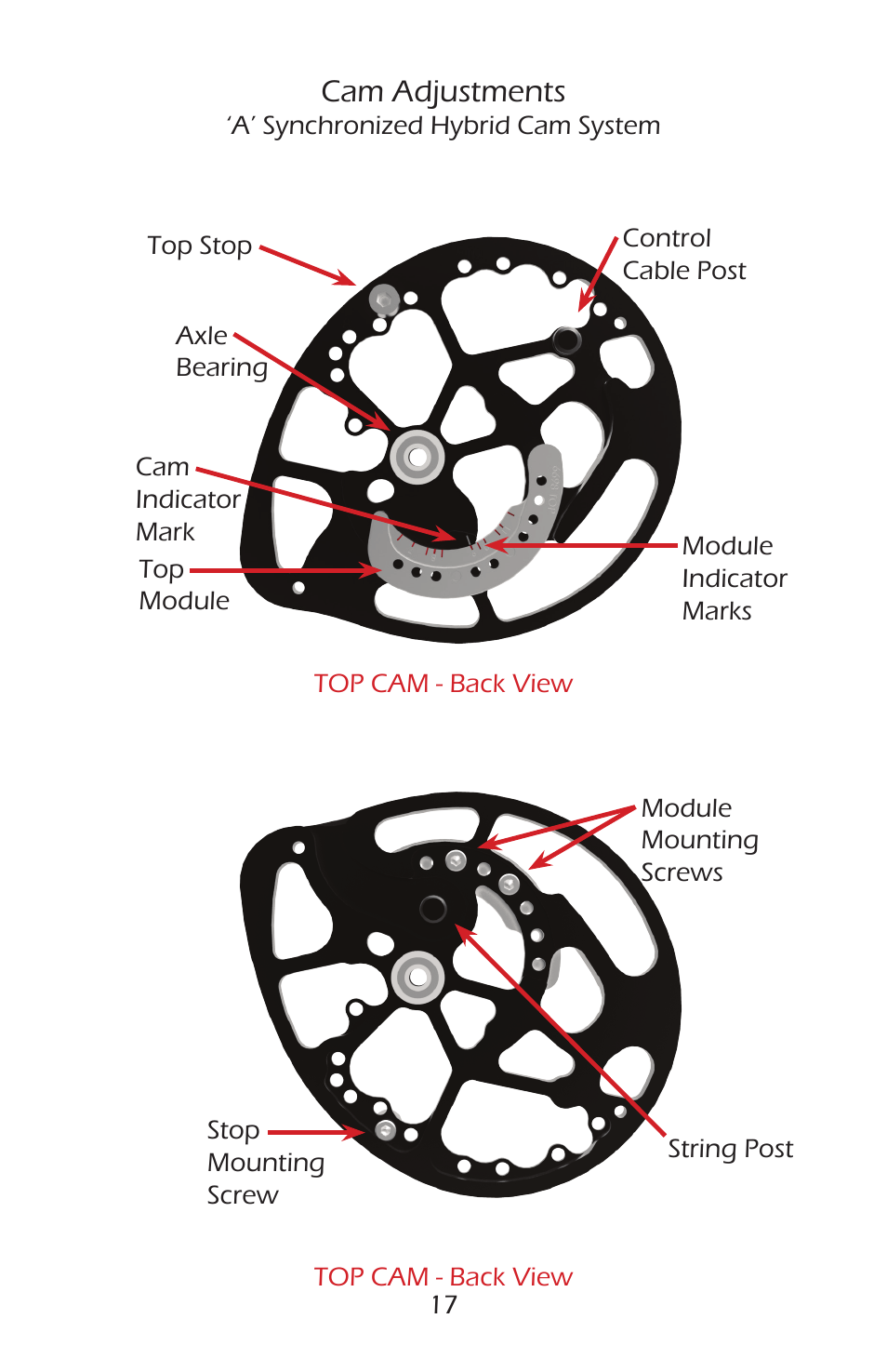 Cam adjustments | Bear Archery Compound Bow 2014 User Manual | Page 20 / 40