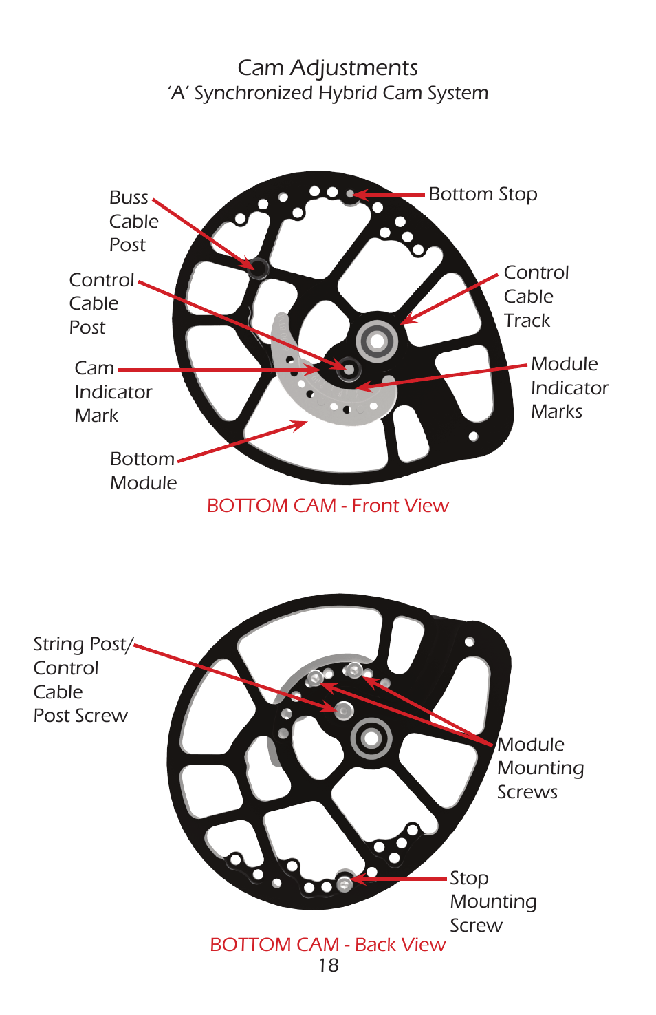 Cam adjustments | Bear Archery Compound Bow 2014 User Manual | Page 21 / 40