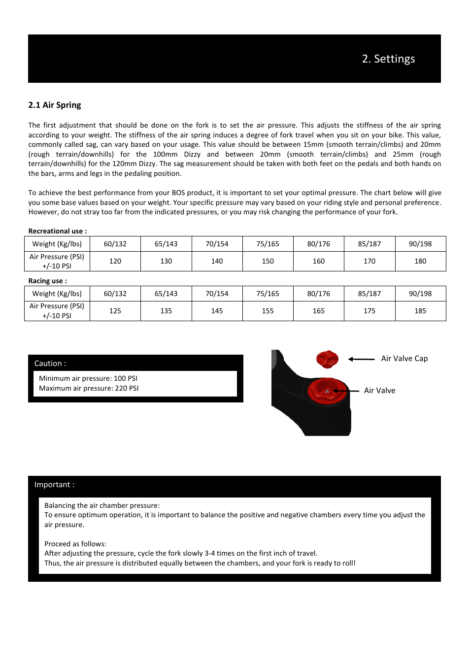 Settings, 1 air spring | Bos Dizzy 2014 User manual User Manual | Page 5 / 9