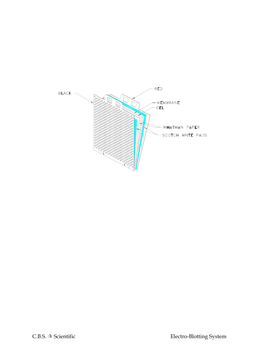 C.B.S. Scientific EBU-102P User Manual | Page 9 / 16