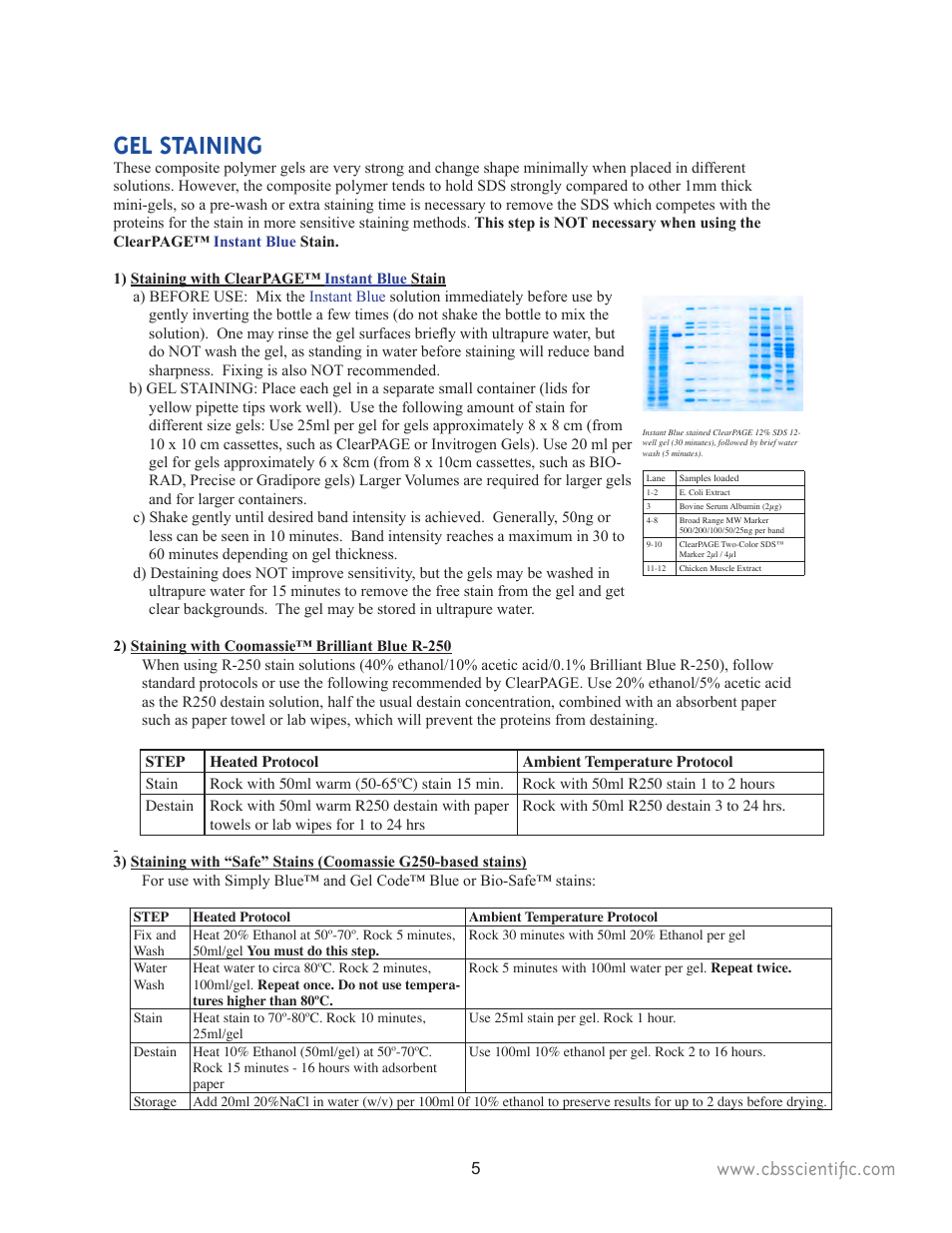 Gel staining | C.B.S. Scientific TTGE-2401 User Manual | Page 5 / 16