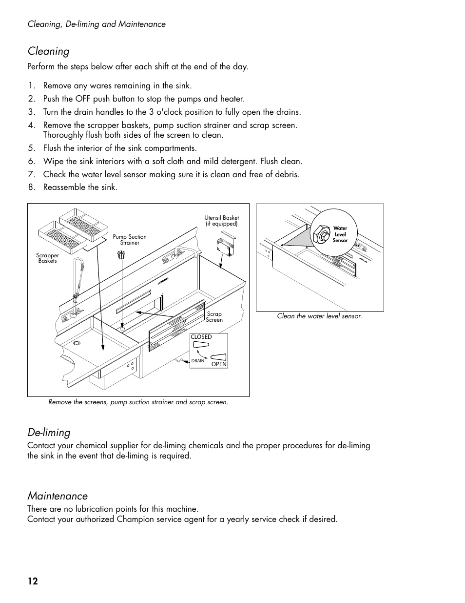 Cleaning, De-liming, Maintenance | CHAMPION PP3 User Manual | Page 20 / 36