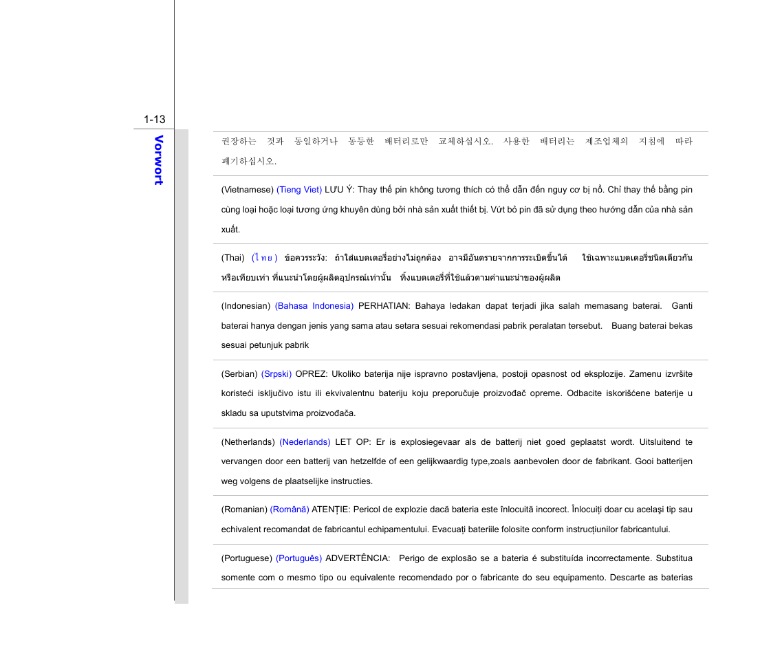 chiliGREEN MS1761 User Manual | Page 13 / 111