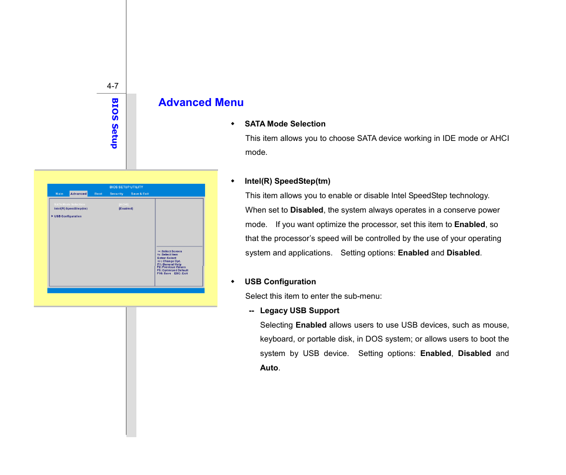 Advanced menu | chiliGREEN MS1753 User Manual | Page 101 / 105