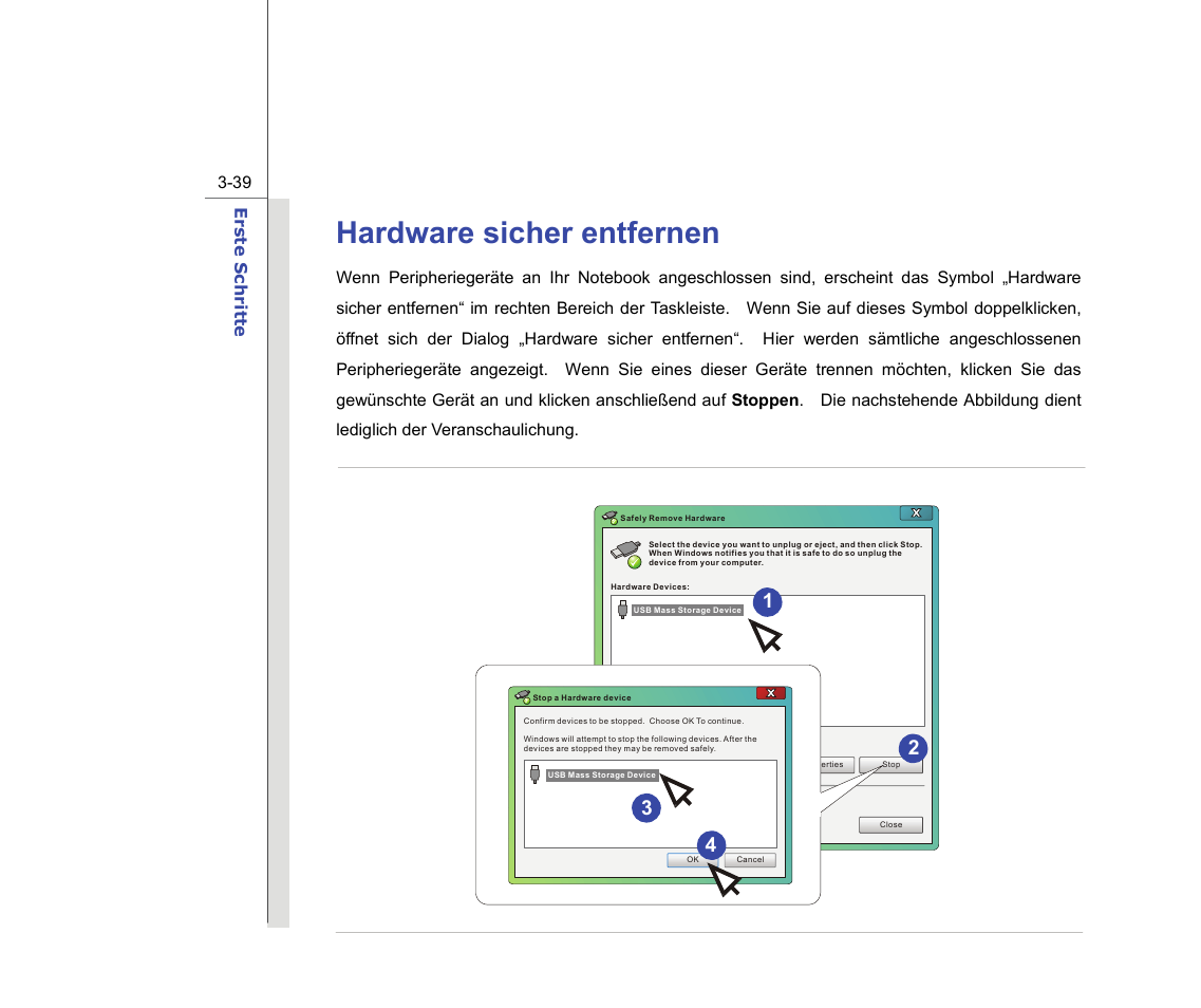 Hardware sicher entfernen | chiliGREEN MS1736 User Manual | Page 81 / 96