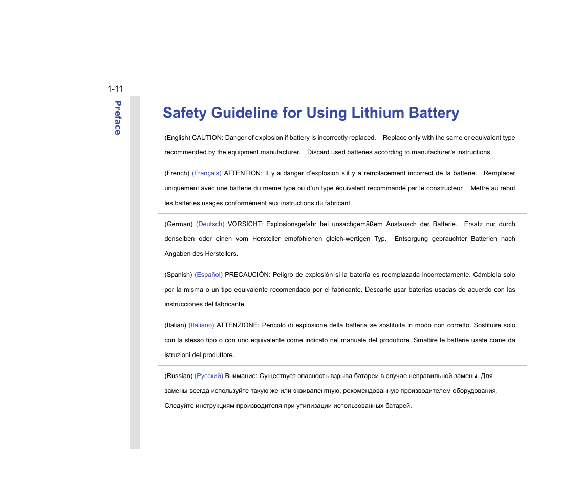 Safety guideline for using lithium battery | chiliGREEN MS-16F2 User Manual | Page 11 / 108