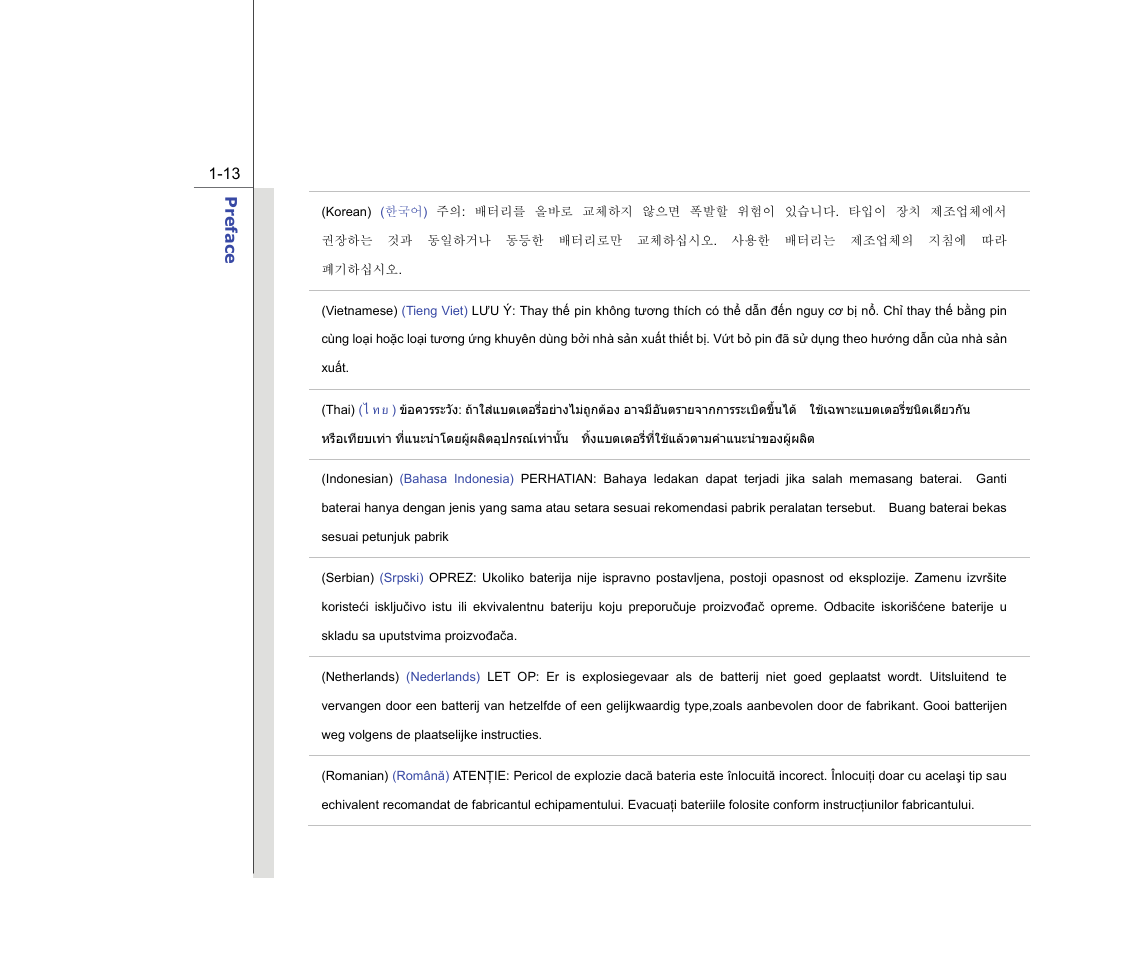 chiliGREEN MS-16F2 User Manual | Page 13 / 108