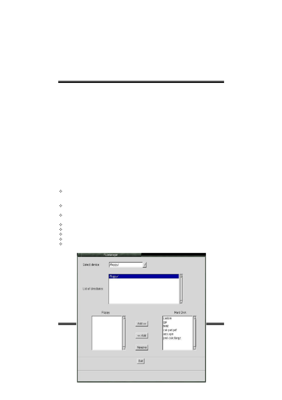 File manager | chiliGREEN P4TSP-D2 User Manual | Page 48 / 52