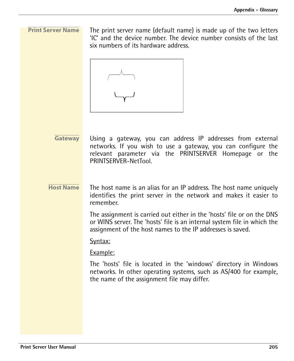 Print server name, Gateway, Host name | Dascom 7010 PrintServer Manual User Manual | Page 205 / 238