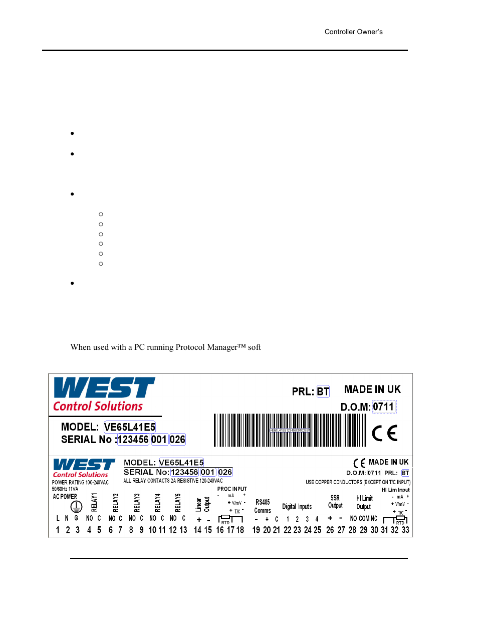 Outputs, Remote communication | Despatch Protocol 3 Controller User Manual | Page 16 / 69