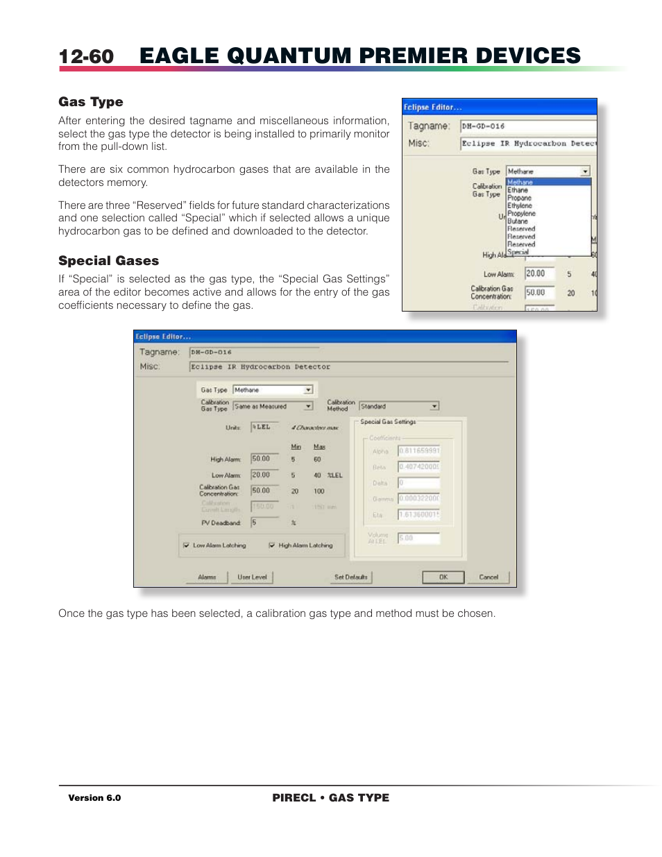 Gas type, Eagle quantum premier devices | Det-Tronics S3 Graphics User Manual | Page 175 / 327