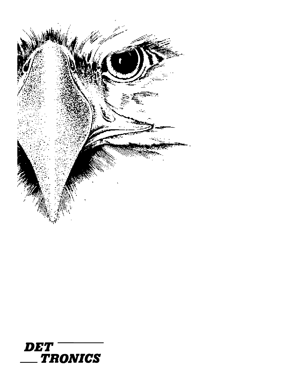 Section 2 system configuration, Eagle 2000 | Det-Tronics Mac - w/Supercard User Manual | Page 13 / 76