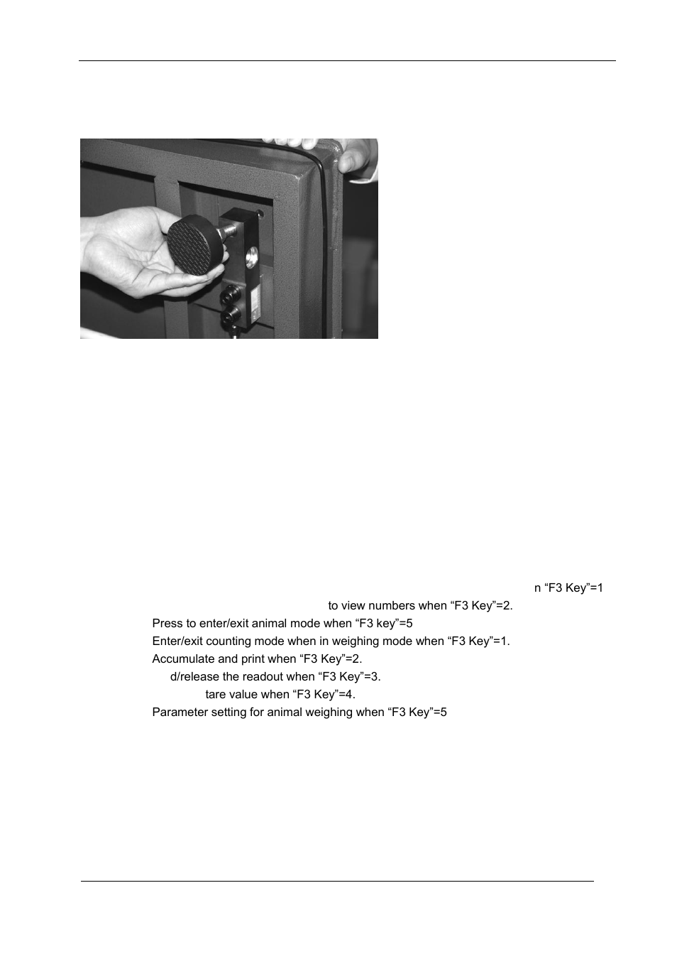 DIGIWEIGH DWP-11K Series User Manual | Page 5 / 10
