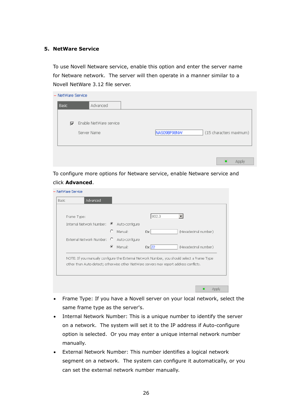 APC Disk On-line Server NAS-2100 User Manual | Page 26 / 112