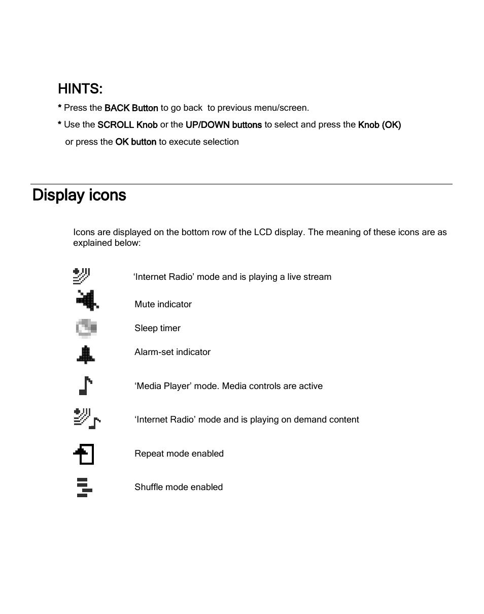 Display icons, Hints | ECOXGEAR IRMS300: MicroSystem User Manual | Page 12 / 35