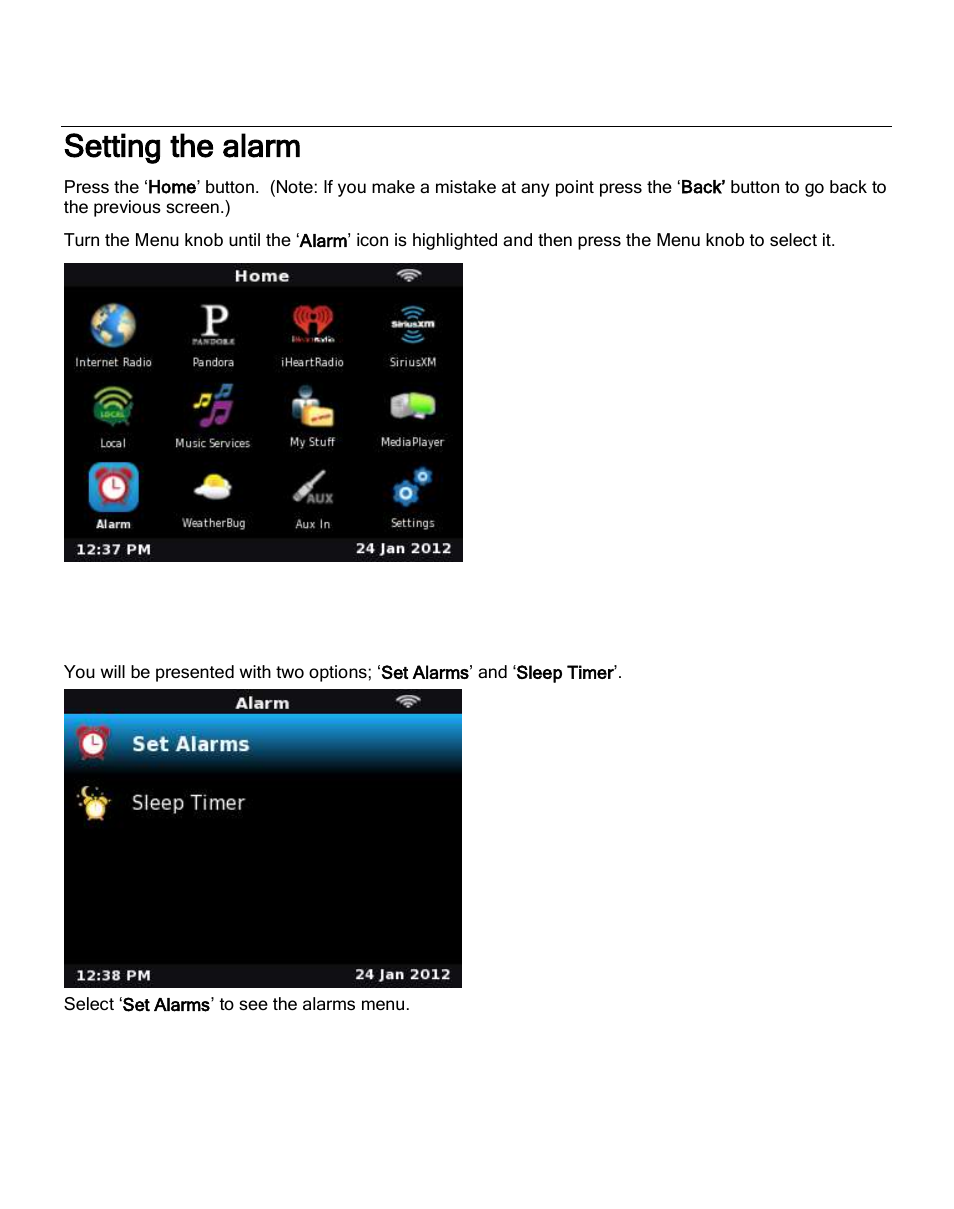 Setting the alarm | ECOXGEAR IRCA700: Primo User Manual | Page 27 / 51
