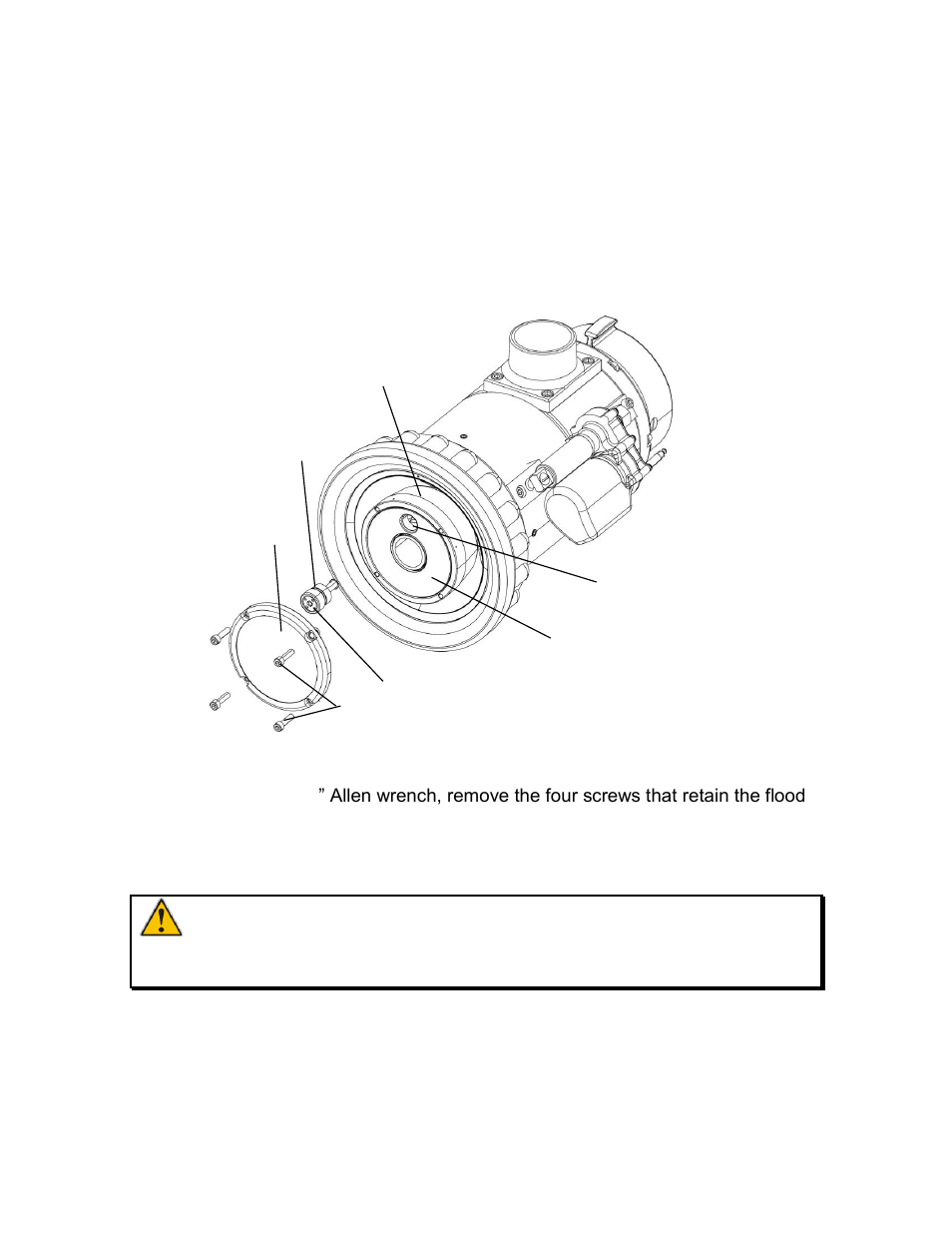 Maintenance, Cleaning, Pilot assembly | Iv. maintenance, Caution | Elkhart Brass SM-2000E-HF User Manual | Page 7 / 10