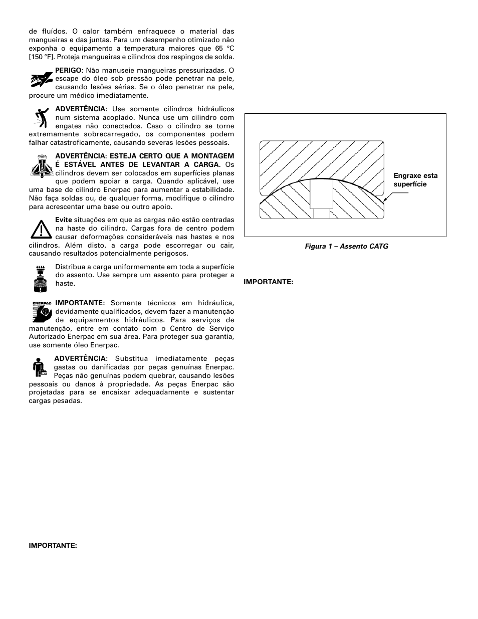 Enerpac CLSG-Series User Manual | Page 20 / 28