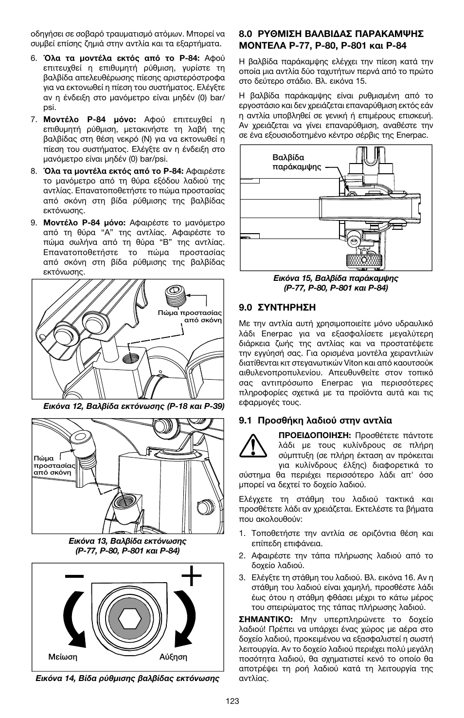 Enerpac P-Series ULTIMA User Manual | Page 123 / 128