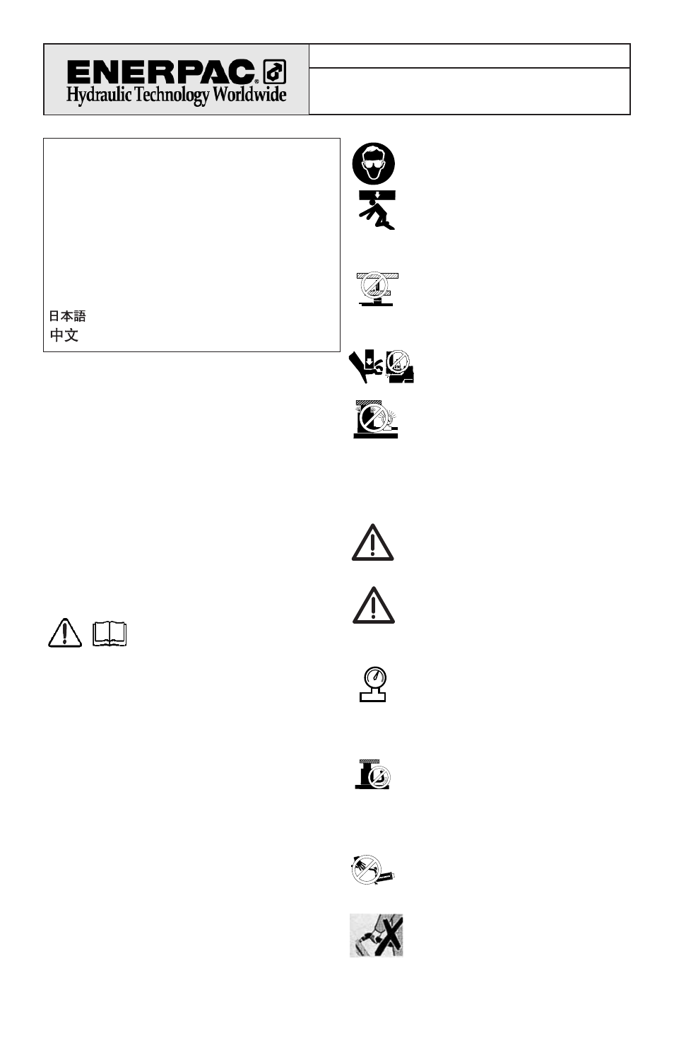 Enerpac VE32, VE32D User Manual | 50 pages