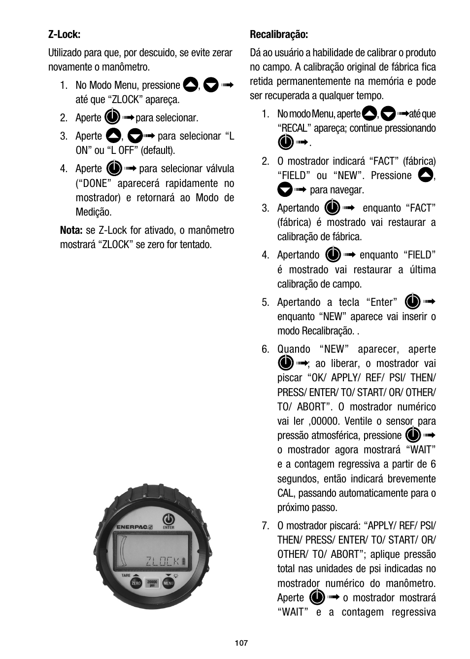 Enerpac DGR-Series User Manual | Page 107 / 144