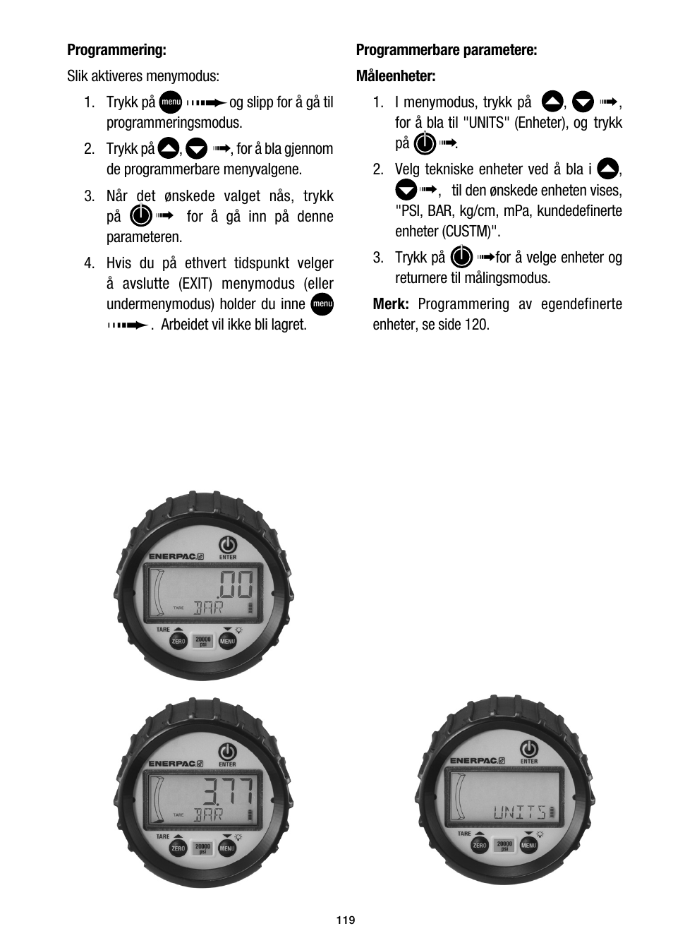 Enerpac DGR-Series User Manual | Page 119 / 144