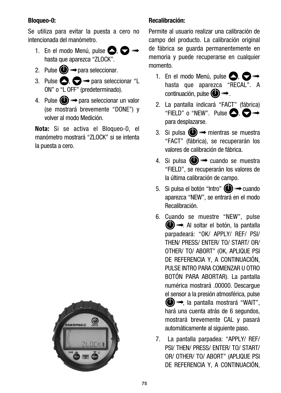 Enerpac DGR-Series User Manual | Page 75 / 144