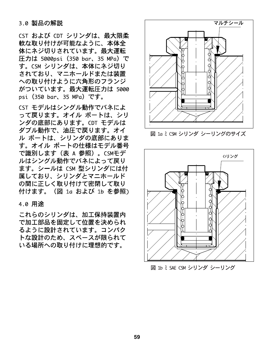 Enerpac CDT-Series User Manual | Page 59 / 66