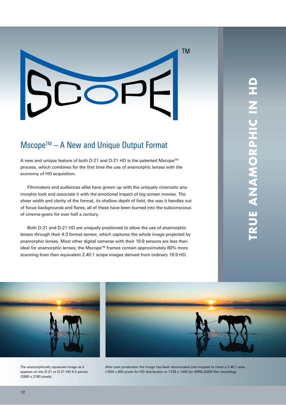 ARRI ARRIFLEX D-21 User Manual | Page 12 / 24