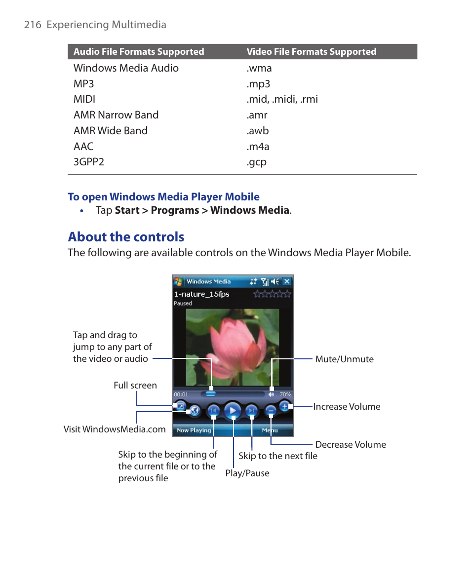 About the controls | ArcSoft Wing HERA110 User Manual | Page 216 / 258