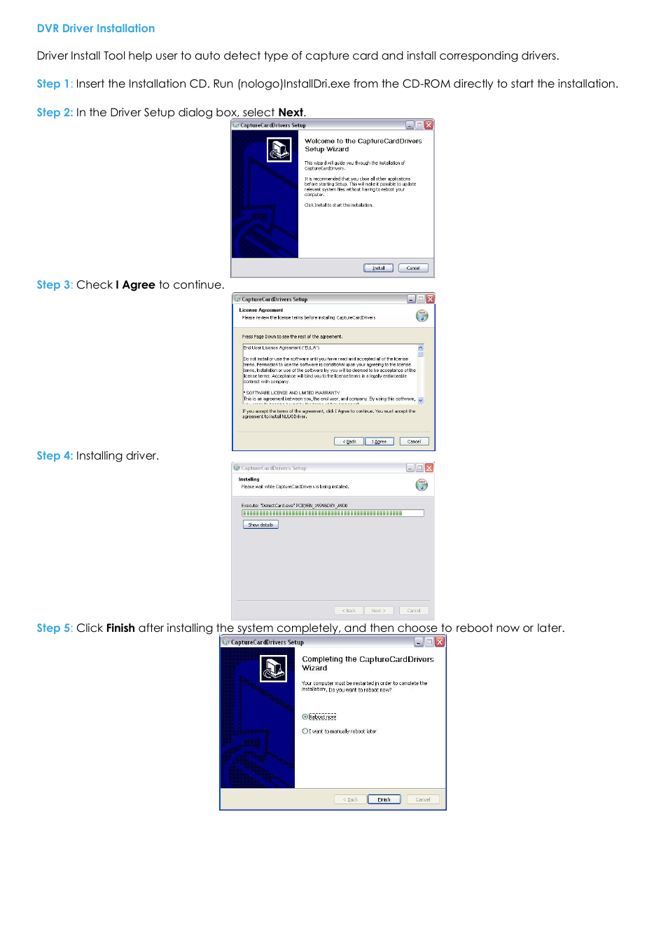 Dvr driver installation | EZWatch Evolution User Manual | Page 13 / 130