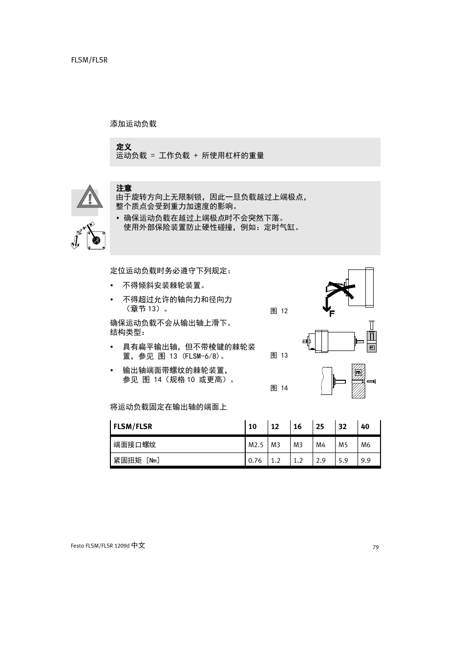 Festo FLSR User Manual | Page 79 / 88