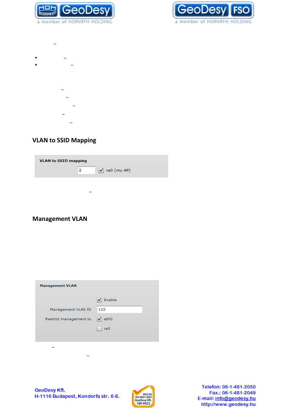 Vlan to ssid mapping, Management vlan | GeoDesy GD-Geo20-TP User Manual | Page 21 / 59