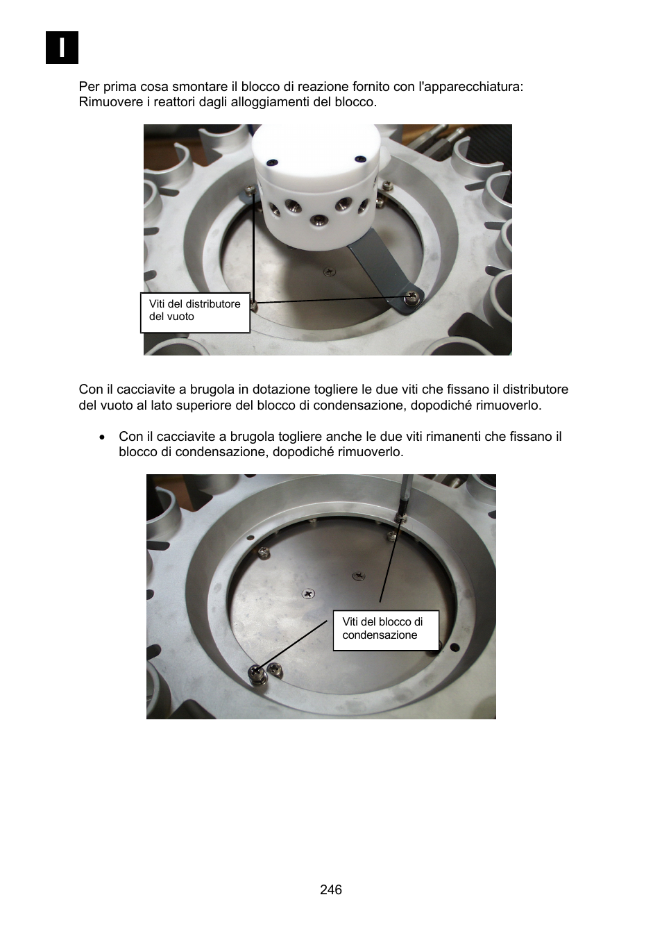 Heidolph Synthesis 1 User Manual | Page 246 / 268