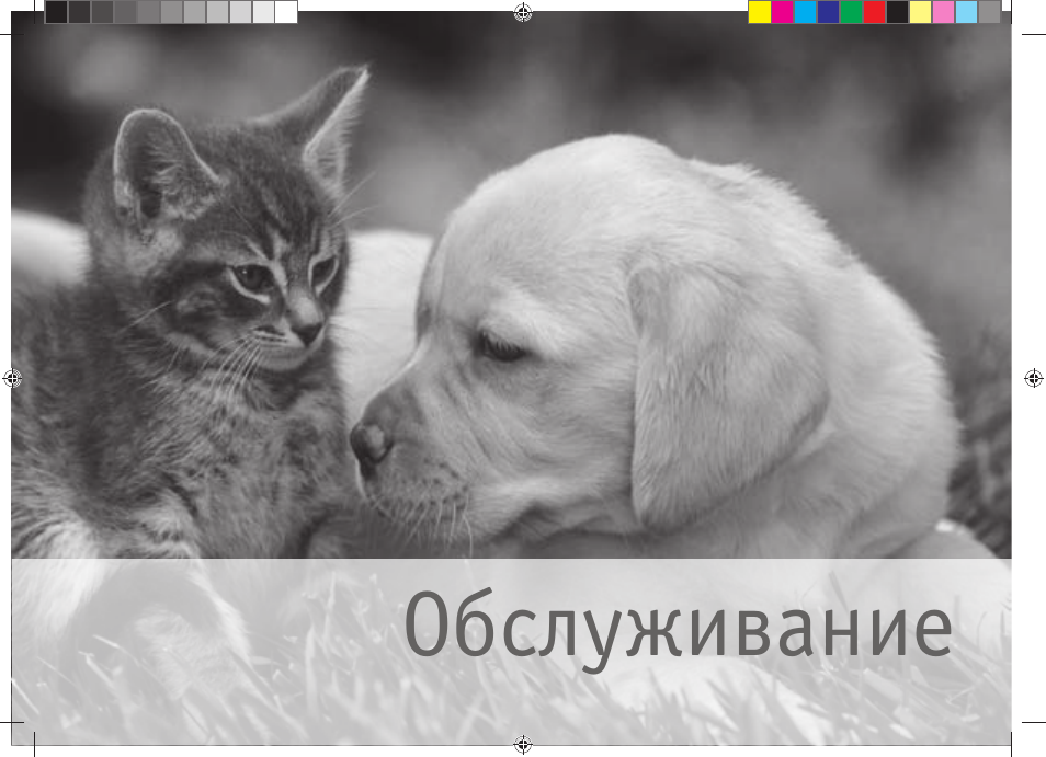 Обслуживание | Bork CF TOR 4040 SI User Manual | Page 12 / 40