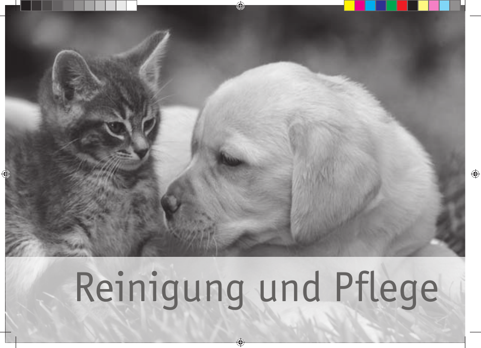 Reinigung und pflege | Bork CF TOR 4040 SI User Manual | Page 36 / 40