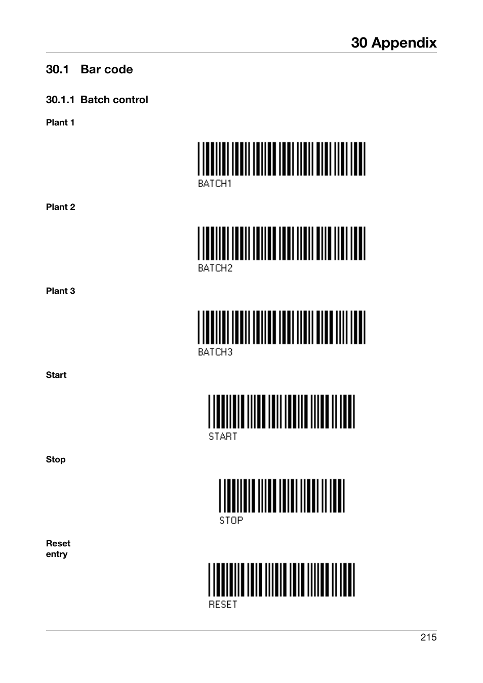 30 appendix, 1 bar code, 1 batch control | Appendix, Bar code | JUMO 706585 LOGOSCREEN fd Operating Manual User Manual | Page 215 / 228