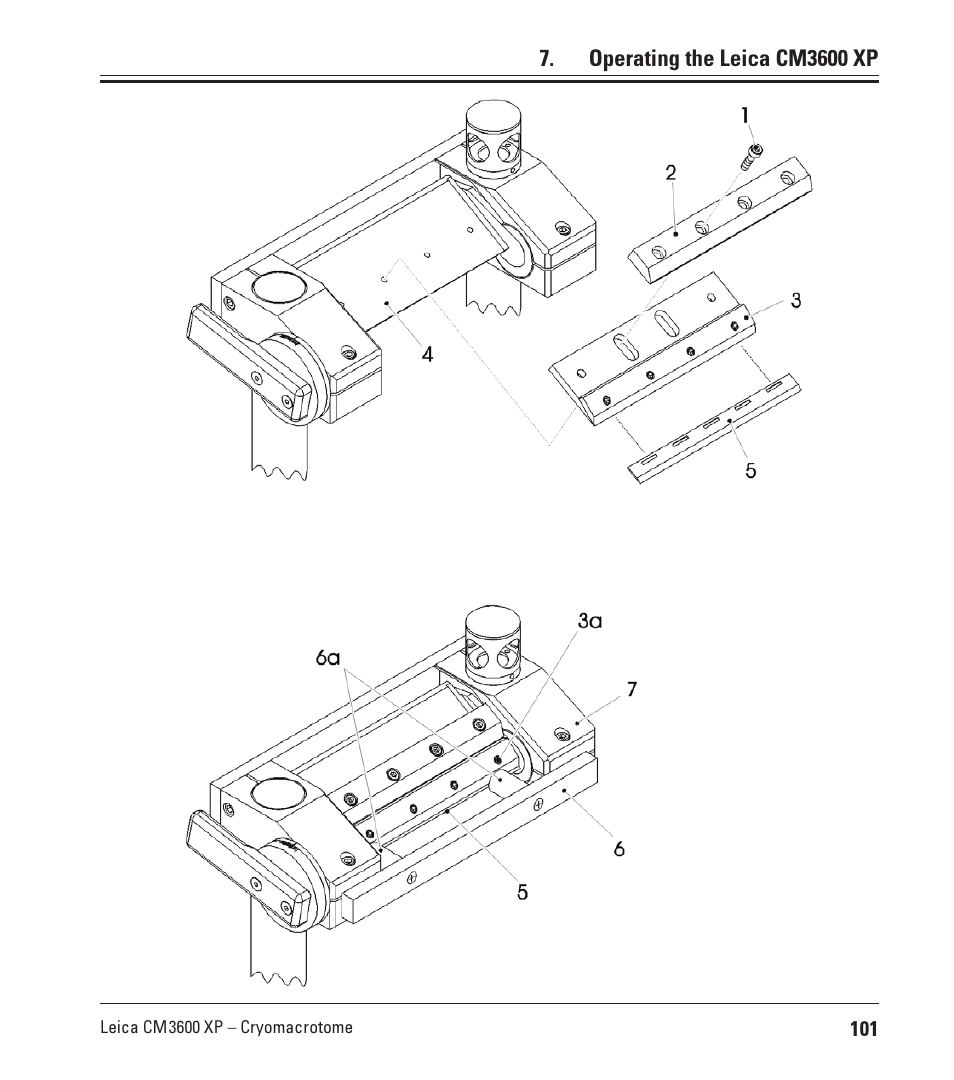 Leica Biosystems CM3600 XP User Manual | Page 101 / 114