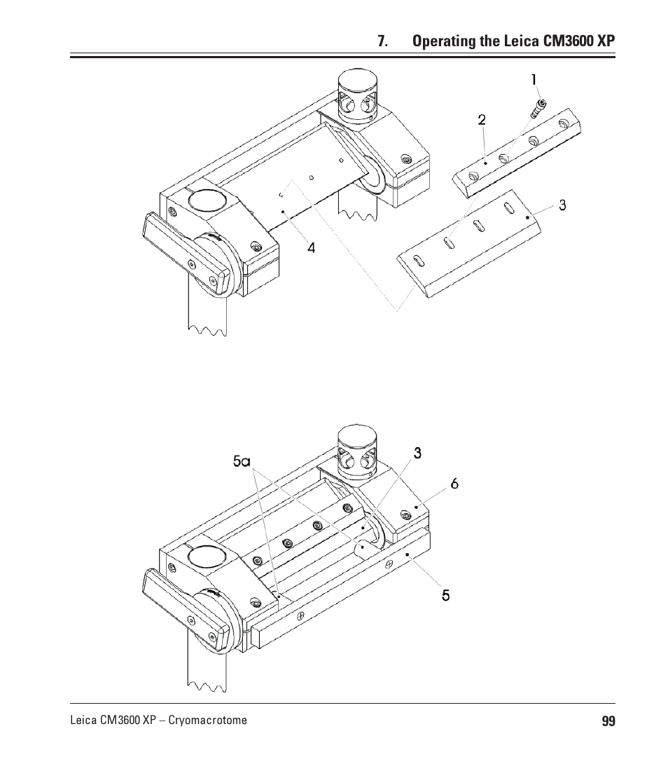 Leica Biosystems CM3600 XP User Manual | Page 99 / 114