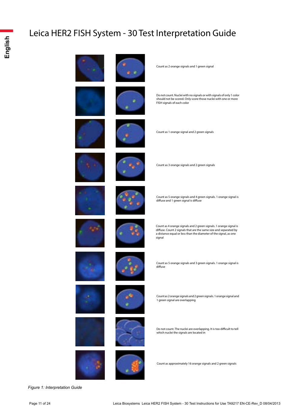 English | Leica Biosystems HER2 FISH System - 30 Test User Manual | Page 11 / 24