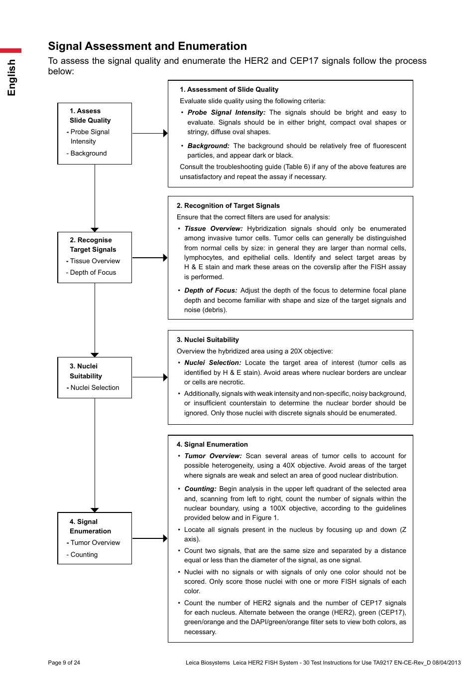 Signal assessment and enumeration, English | Leica Biosystems HER2 FISH System - 30 Test User Manual | Page 9 / 24