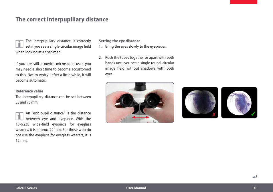 Der richtige augenabstand, The correct interpupillary distance | Leica Biosystems S series User Manual | Page 30 / 59