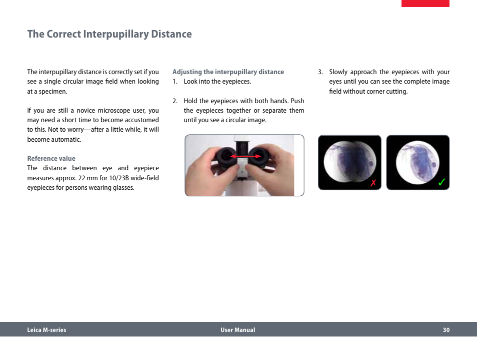 The correct interpupillary distance | Leica Biosystems M80 User Manual | Page 30 / 65