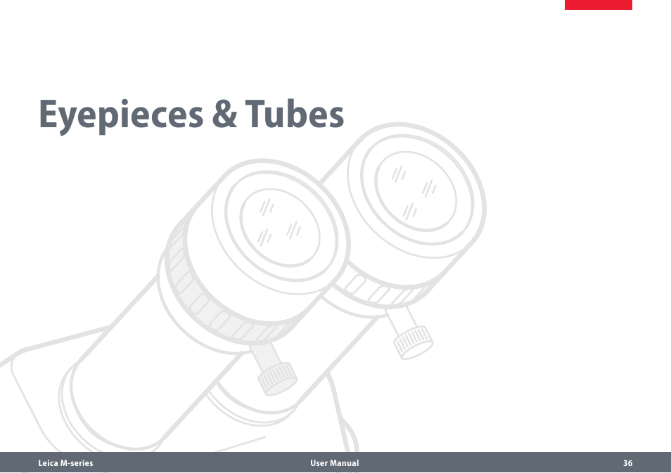 Eyepieces & tubes | Leica Biosystems M80 User Manual | Page 36 / 65
