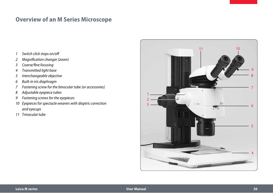 Overview of an m series microscope | Leica Biosystems M165 C B User Manual | Page 30 / 57