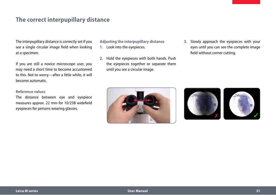 The correct interpupillary distance | Leica Biosystems M165 C B User Manual | Page 31 / 57