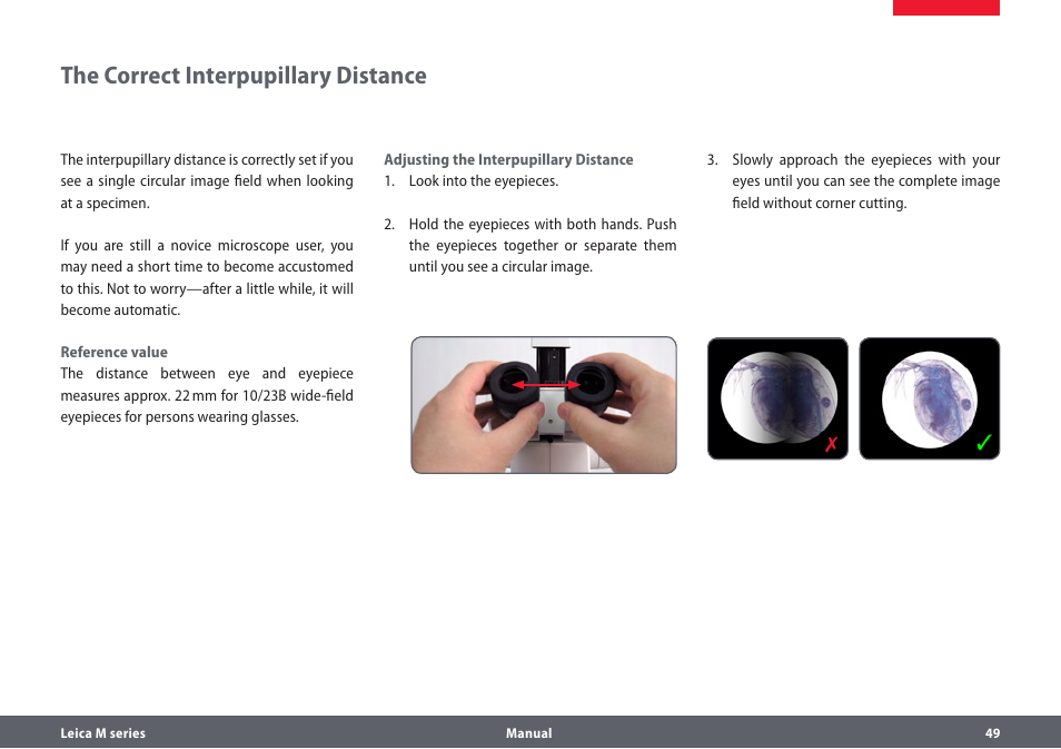 The correct interpupillary distance | Leica Biosystems M205A User Manual | Page 49 / 114